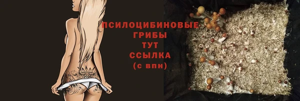 не бодяженный Алзамай