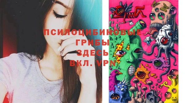 герыч Абаза