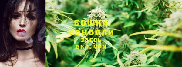 PSILOCYBIN Алексин